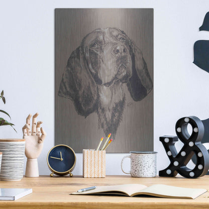 Luxe Metal Art 'Blue Tick Hound' by Barbara Keith, Metal Wall Art,12x16