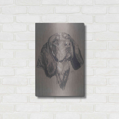 Luxe Metal Art 'Blue Tick Hound' by Barbara Keith, Metal Wall Art,16x24