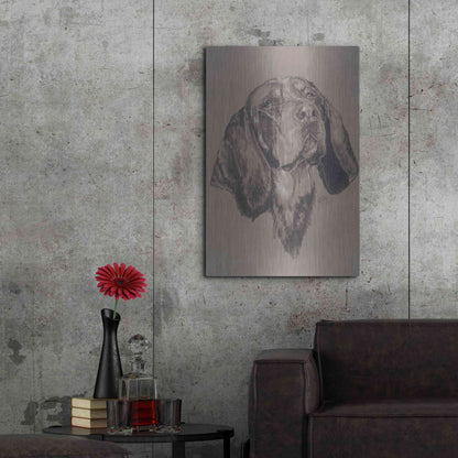 Luxe Metal Art 'Blue Tick Hound' by Barbara Keith, Metal Wall Art,24x36