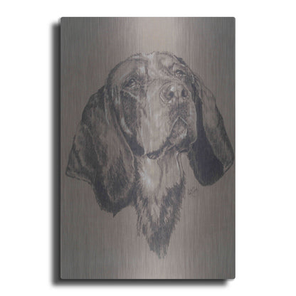 Luxe Metal Art 'Blue Tick Hound' by Barbara Keith, Metal Wall Art