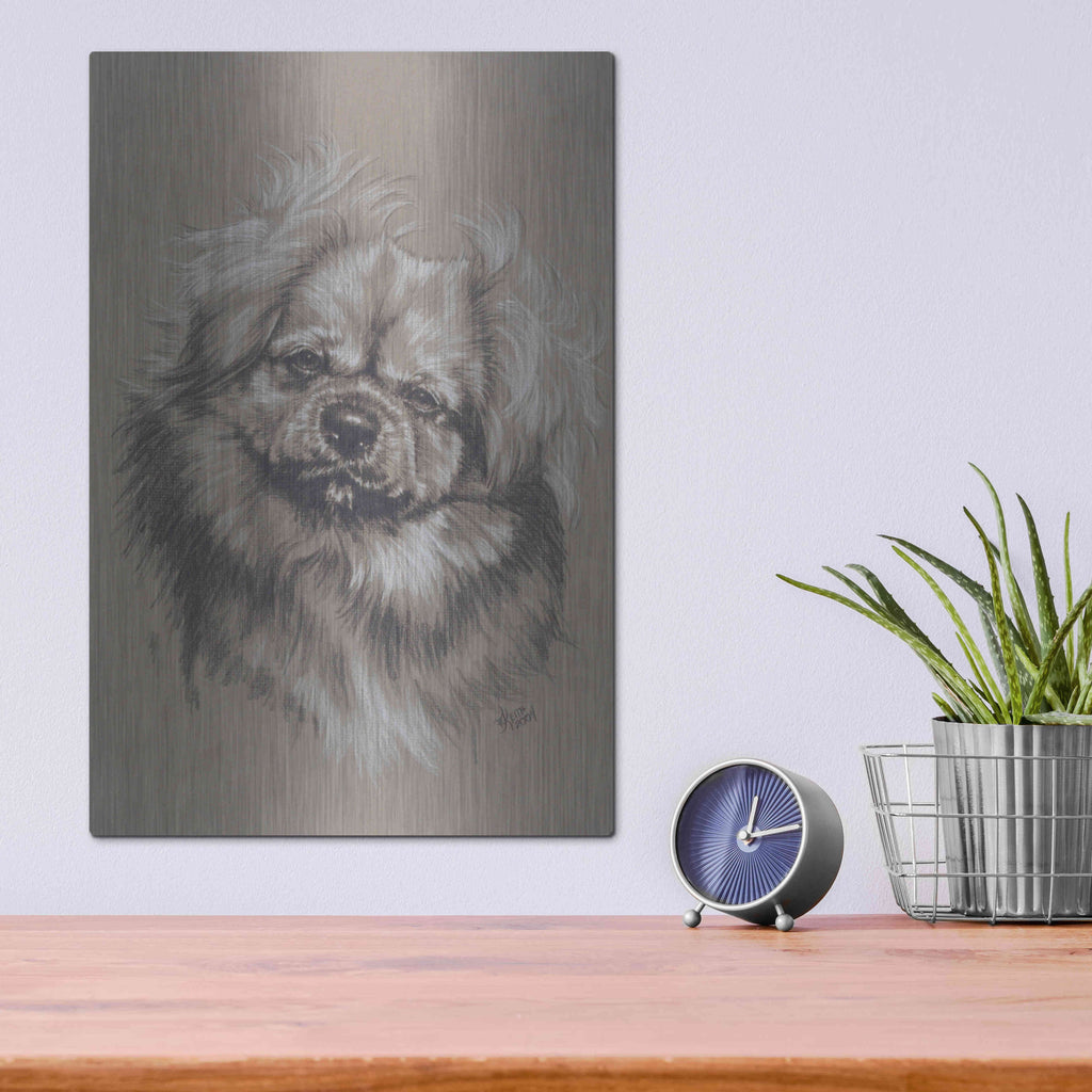 Luxe Metal Art 'Tibetan Spaniel' by Barbara Keith, Metal Wall Art,12x16