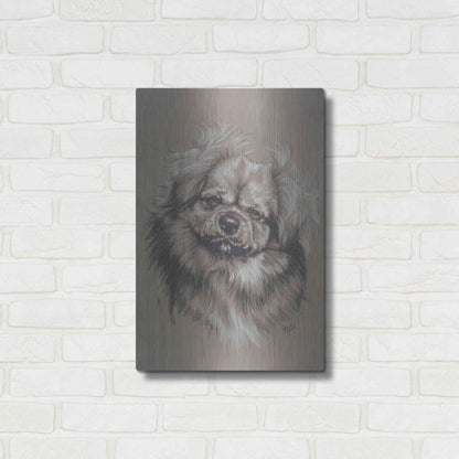 Luxe Metal Art 'Tibetan Spaniel' by Barbara Keith, Metal Wall Art,16x24