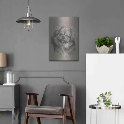 Luxe Metal Art 'Tibetan Spaniel' by Barbara Keith, Metal Wall Art,16x24