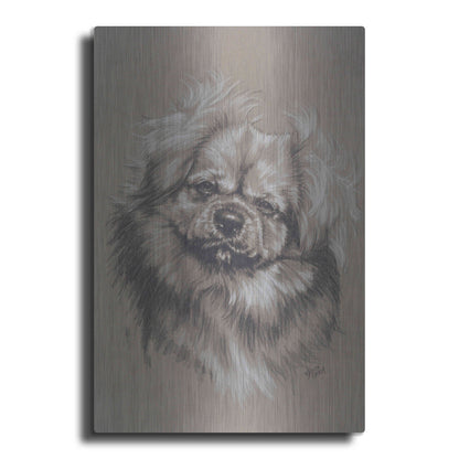 Luxe Metal Art 'Tibetan Spaniel' by Barbara Keith, Metal Wall Art
