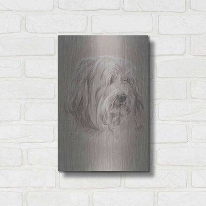 Luxe Metal Art 'Havanese' by Barbara Keith, Metal Wall Art,12x16