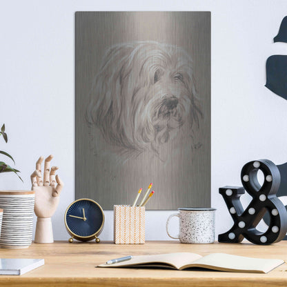 Luxe Metal Art 'Havanese' by Barbara Keith, Metal Wall Art,12x16