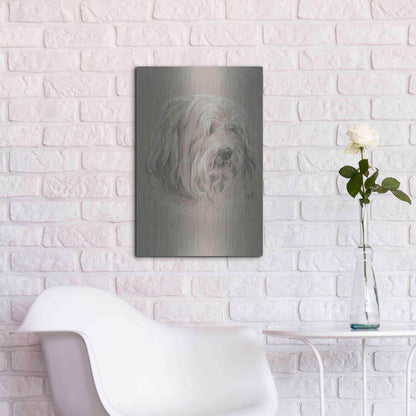 Luxe Metal Art 'Havanese' by Barbara Keith, Metal Wall Art,16x24