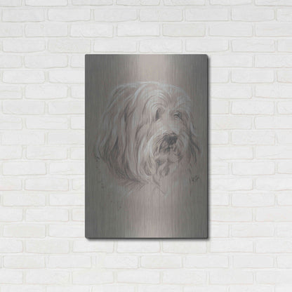 Luxe Metal Art 'Havanese' by Barbara Keith, Metal Wall Art,24x36