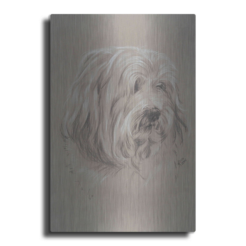 Luxe Metal Art 'Havanese' by Barbara Keith, Metal Wall Art