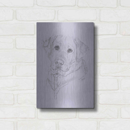 Luxe Metal Art 'Labrador' by Barbara Keith, Metal Wall Art,12x16