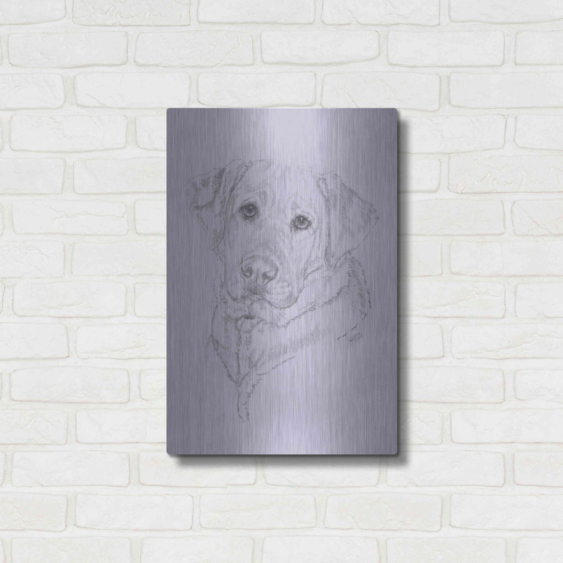 Luxe Metal Art 'Labrador' by Barbara Keith, Metal Wall Art,16x24