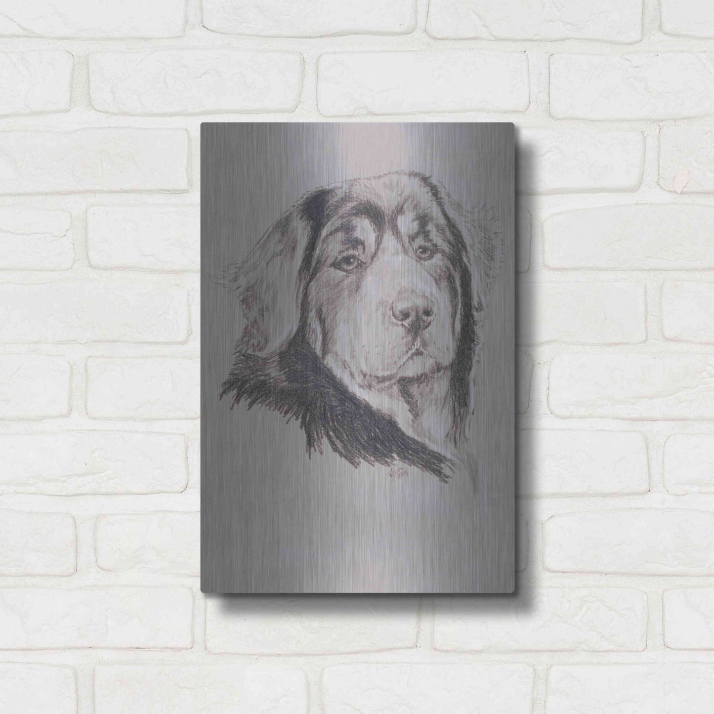 Luxe Metal Art 'Tibetan Mastiff' by Barbara Keith, Metal Wall Art,12x16