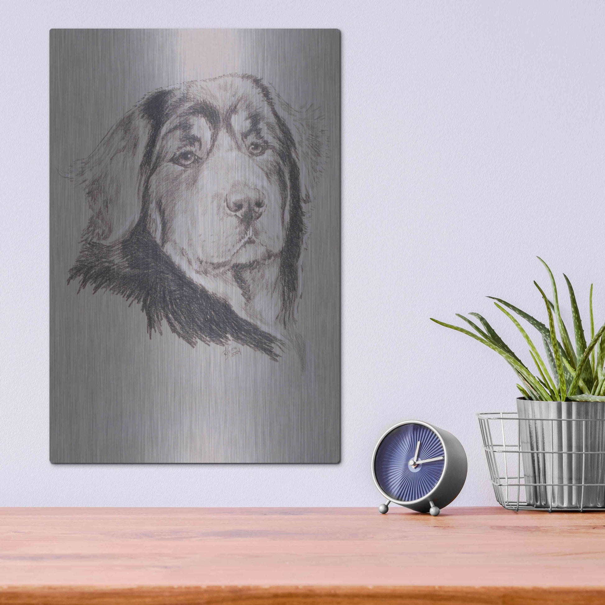 Luxe Metal Art 'Tibetan Mastiff' by Barbara Keith, Metal Wall Art,12x16