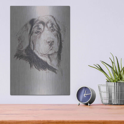 Luxe Metal Art 'Tibetan Mastiff' by Barbara Keith, Metal Wall Art,12x16