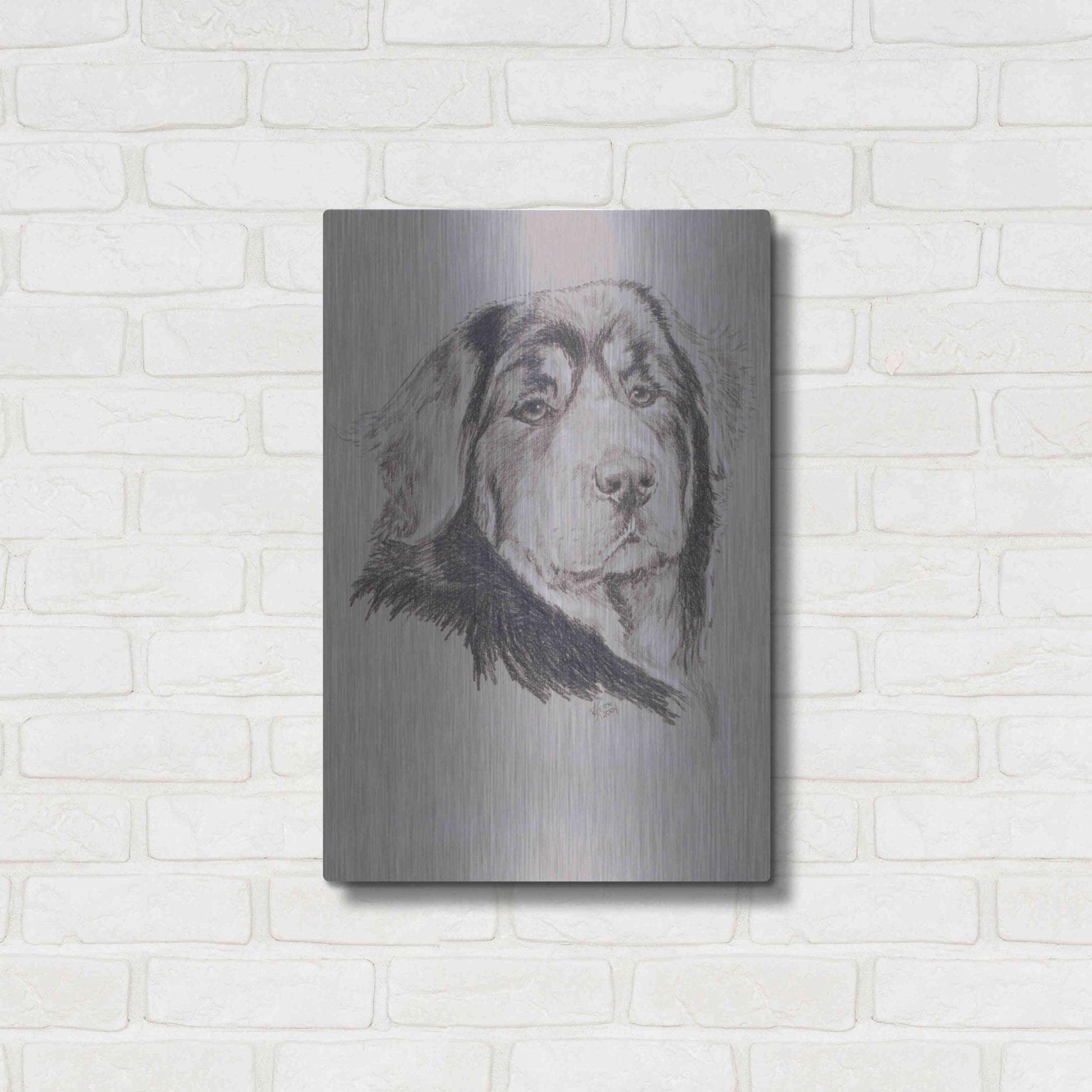 Luxe Metal Art 'Tibetan Mastiff' by Barbara Keith, Metal Wall Art,16x24