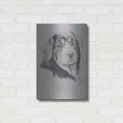 Luxe Metal Art 'Tibetan Mastiff' by Barbara Keith, Metal Wall Art,16x24