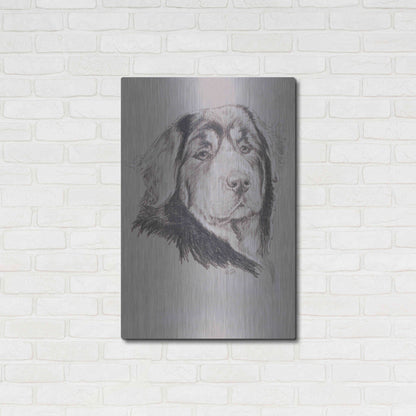 Luxe Metal Art 'Tibetan Mastiff' by Barbara Keith, Metal Wall Art,24x36