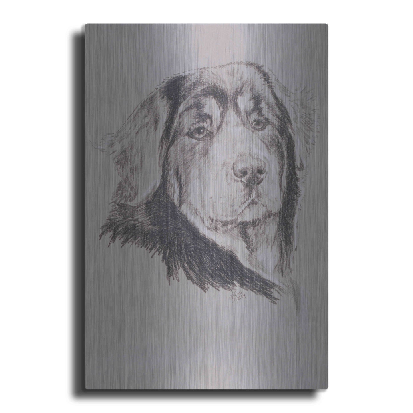 Luxe Metal Art 'Tibetan Mastiff' by Barbara Keith, Metal Wall Art