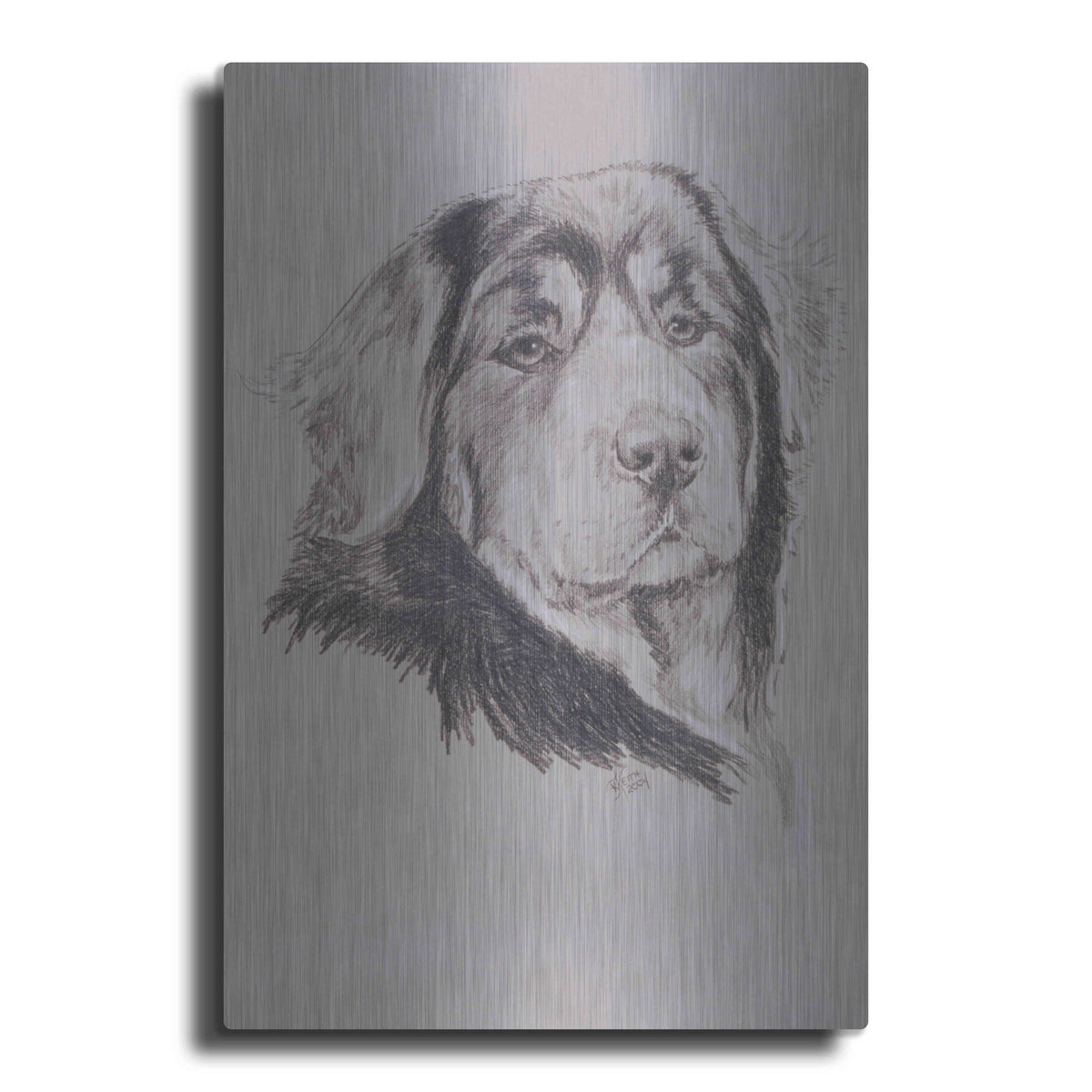 Luxe Metal Art 'Tibetan Mastiff' by Barbara Keith, Metal Wall Art