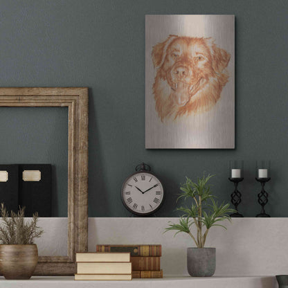 Luxe Metal Art 'Golden Retriever' by Barbara Keith, Metal Wall Art,12x16