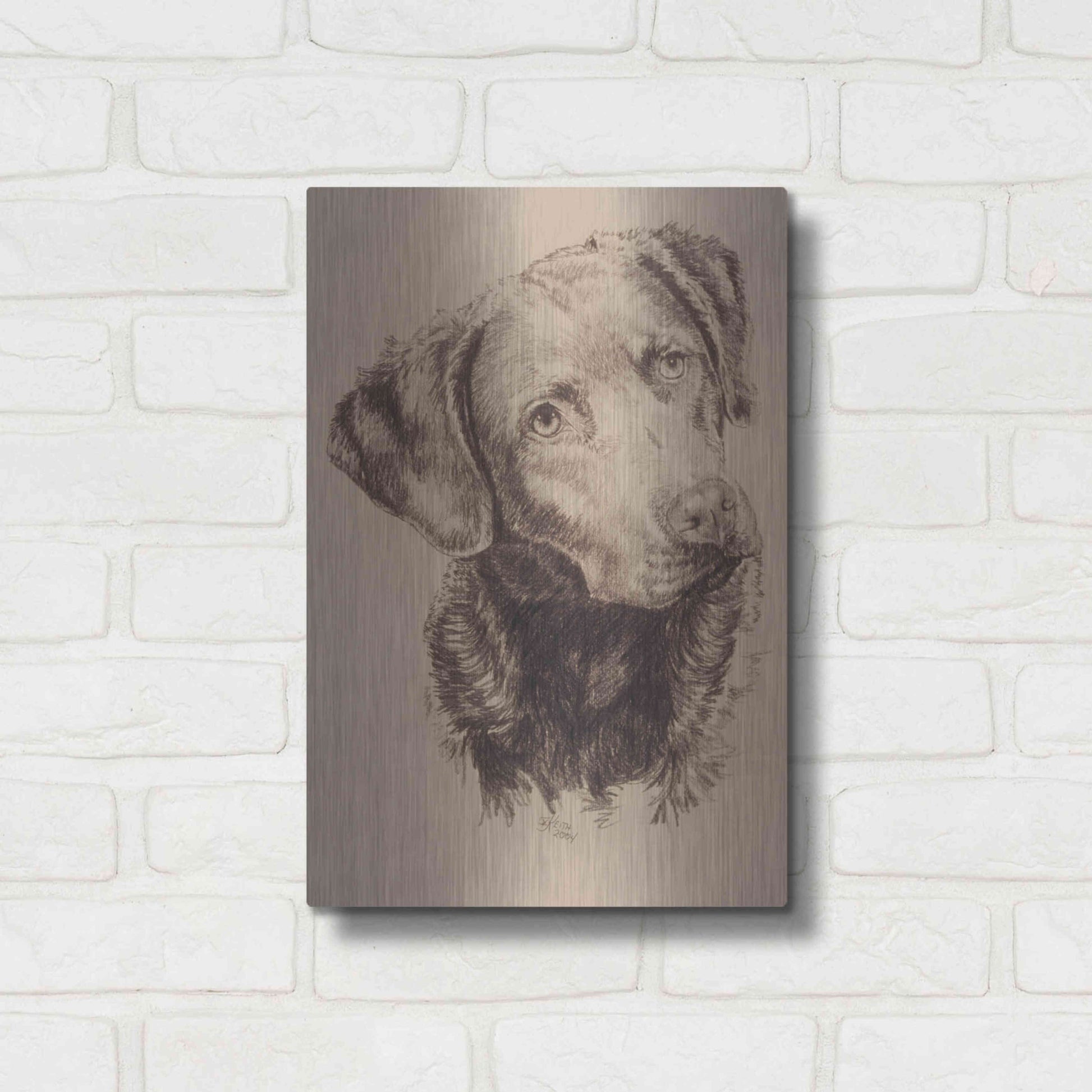 Luxe Metal Art 'Chessapeake Bay Retriever' by Barbara Keith, Metal Wall Art,12x16