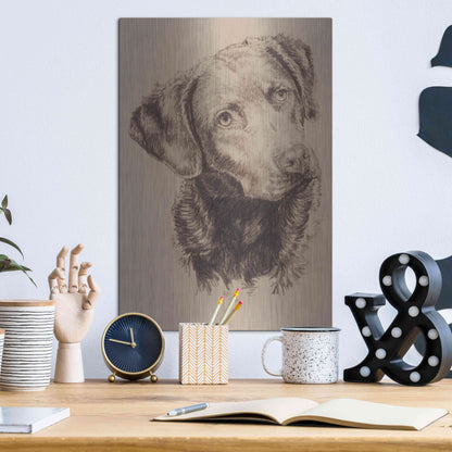 Luxe Metal Art 'Chessapeake Bay Retriever' by Barbara Keith, Metal Wall Art,12x16