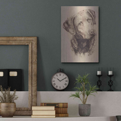 Luxe Metal Art 'Chessapeake Bay Retriever' by Barbara Keith, Metal Wall Art,12x16