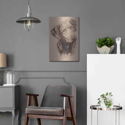 Luxe Metal Art 'Chessapeake Bay Retriever' by Barbara Keith, Metal Wall Art,16x24