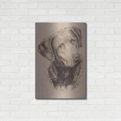 Luxe Metal Art 'Chessapeake Bay Retriever' by Barbara Keith, Metal Wall Art,24x36