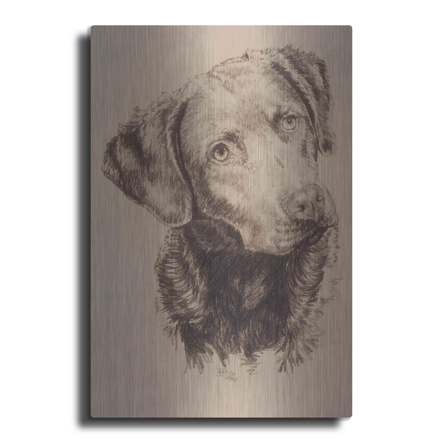 Luxe Metal Art 'Chessapeake Bay Retriever' by Barbara Keith, Metal Wall Art