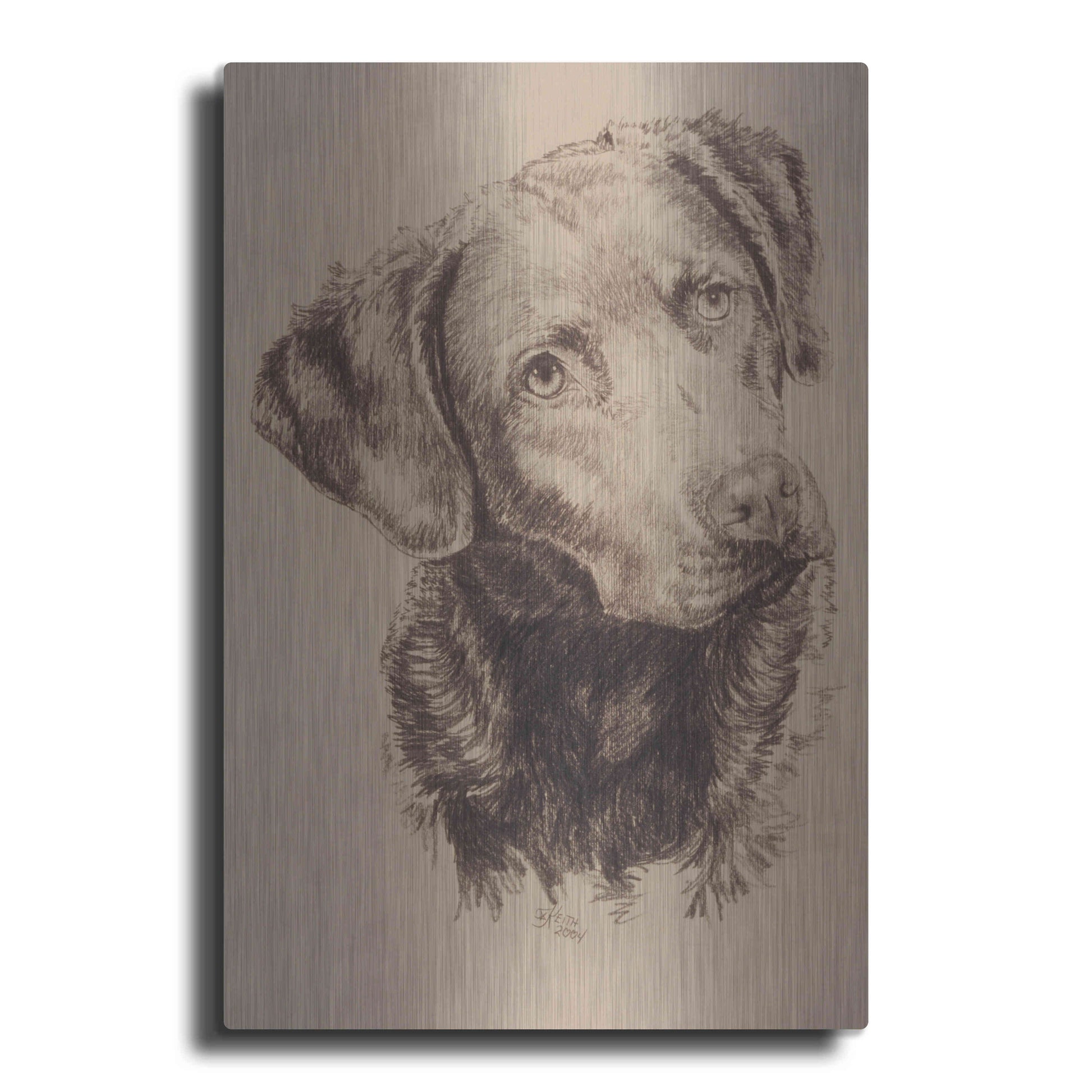 Luxe Metal Art 'Chessapeake Bay Retriever' by Barbara Keith, Metal Wall Art