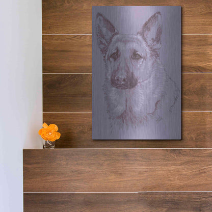 Luxe Metal Art 'German Shepherd 1' by Barbara Keith, Metal Wall Art,12x16