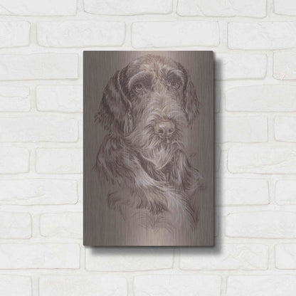 Luxe Metal Art 'German Wirehaired Pointer' by Barbara Keith, Metal Wall Art,12x16