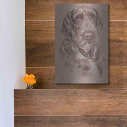 Luxe Metal Art 'German Wirehaired Pointer' by Barbara Keith, Metal Wall Art,12x16