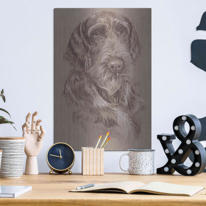 Luxe Metal Art 'German Wirehaired Pointer' by Barbara Keith, Metal Wall Art,12x16