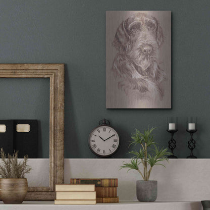 Luxe Metal Art 'German Wirehaired Pointer' by Barbara Keith, Metal Wall Art,12x16