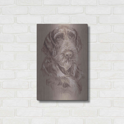 Luxe Metal Art 'German Wirehaired Pointer' by Barbara Keith, Metal Wall Art,16x24