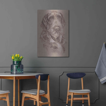 Luxe Metal Art 'German Wirehaired Pointer' by Barbara Keith, Metal Wall Art,24x36