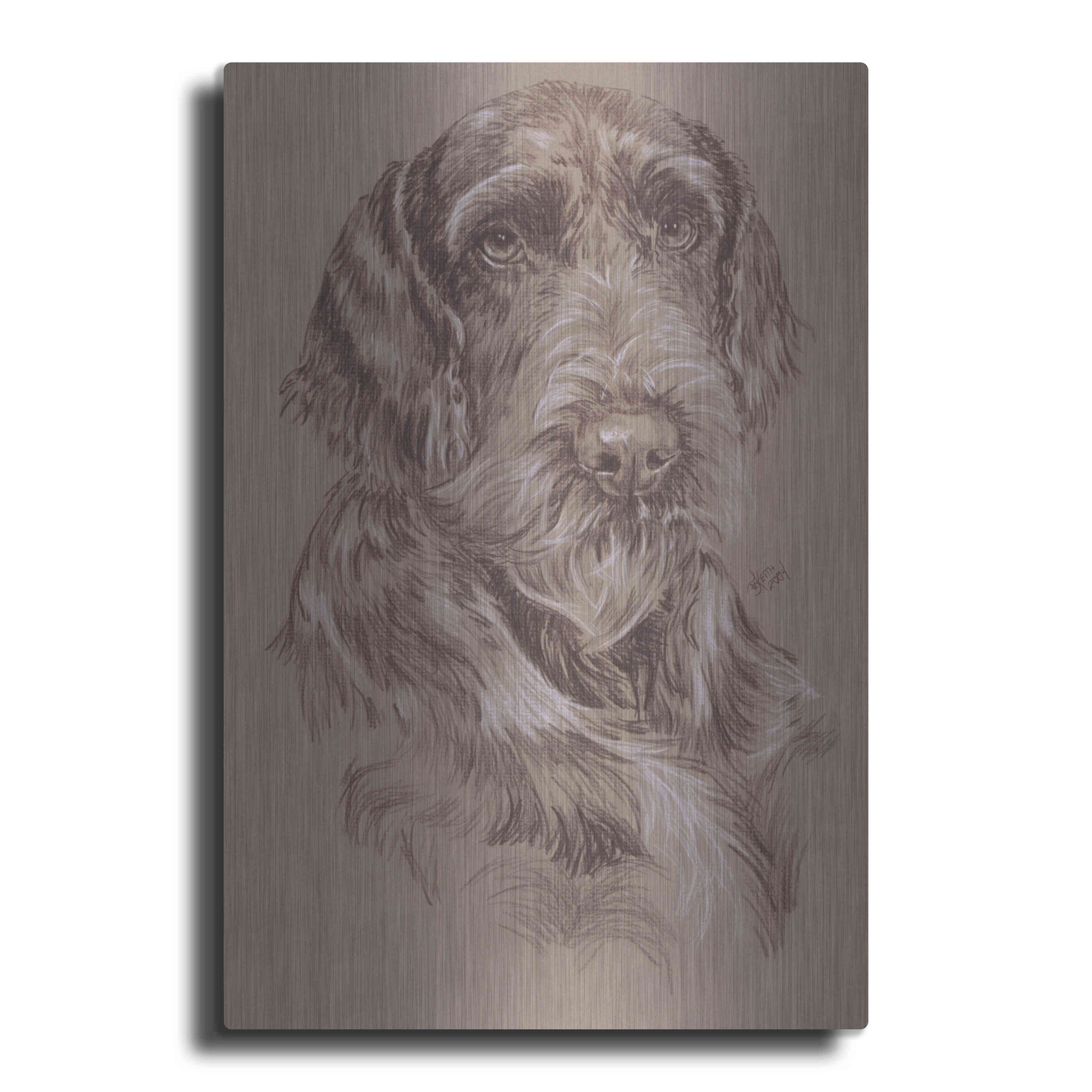 Luxe Metal Art 'German Wirehaired Pointer' by Barbara Keith, Metal Wall Art