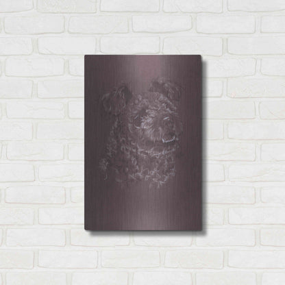 Luxe Metal Art 'Pumi' by Barbara Keith, Metal Wall Art,16x24