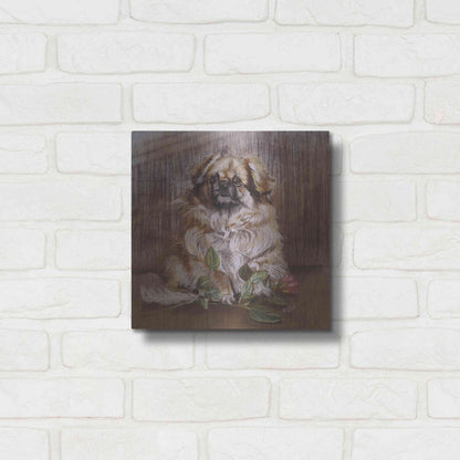 Luxe Metal Art 'Tibetan Spaniel 1' by Barbara Keith, Metal Wall Art,12x12