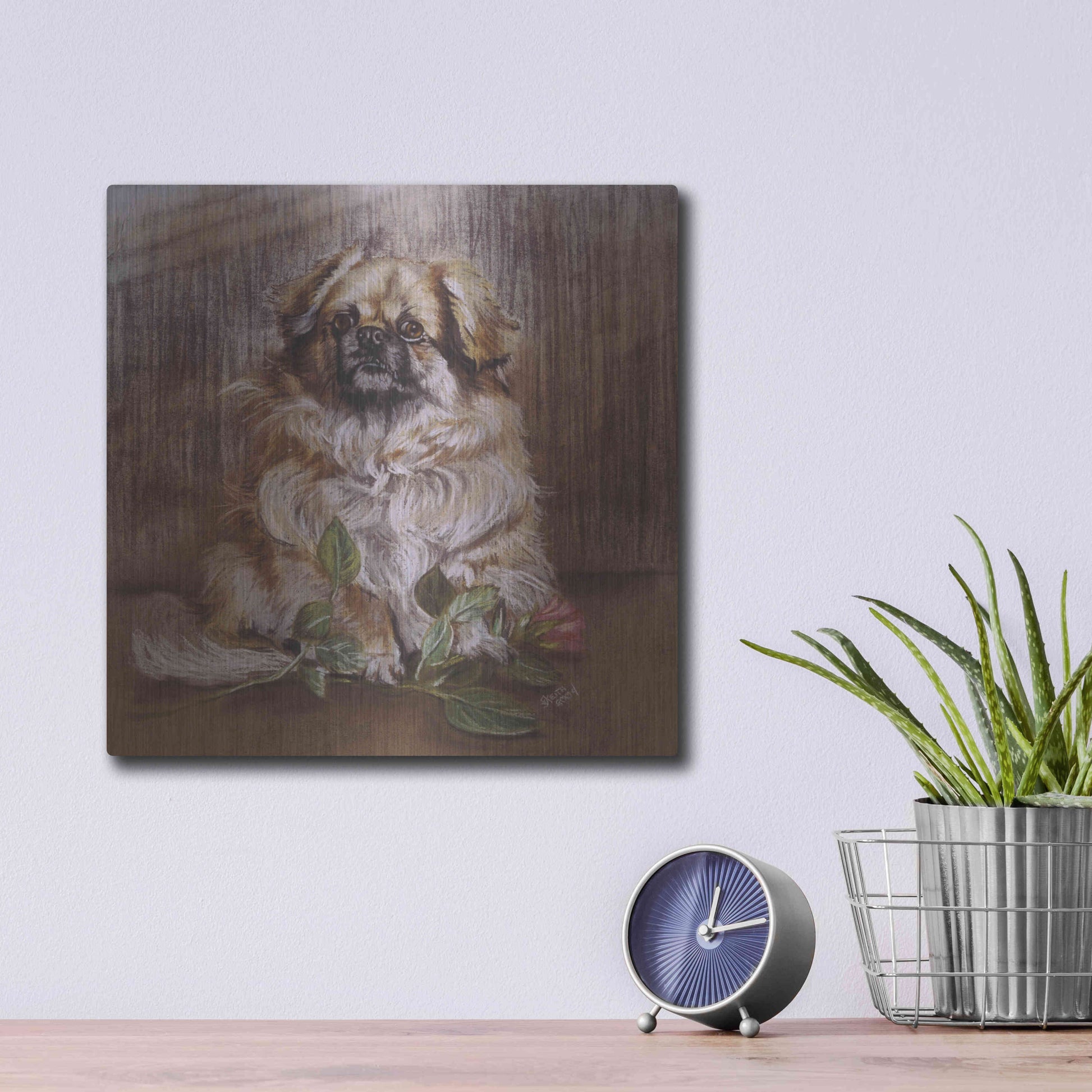 Luxe Metal Art 'Tibetan Spaniel 1' by Barbara Keith, Metal Wall Art,12x12