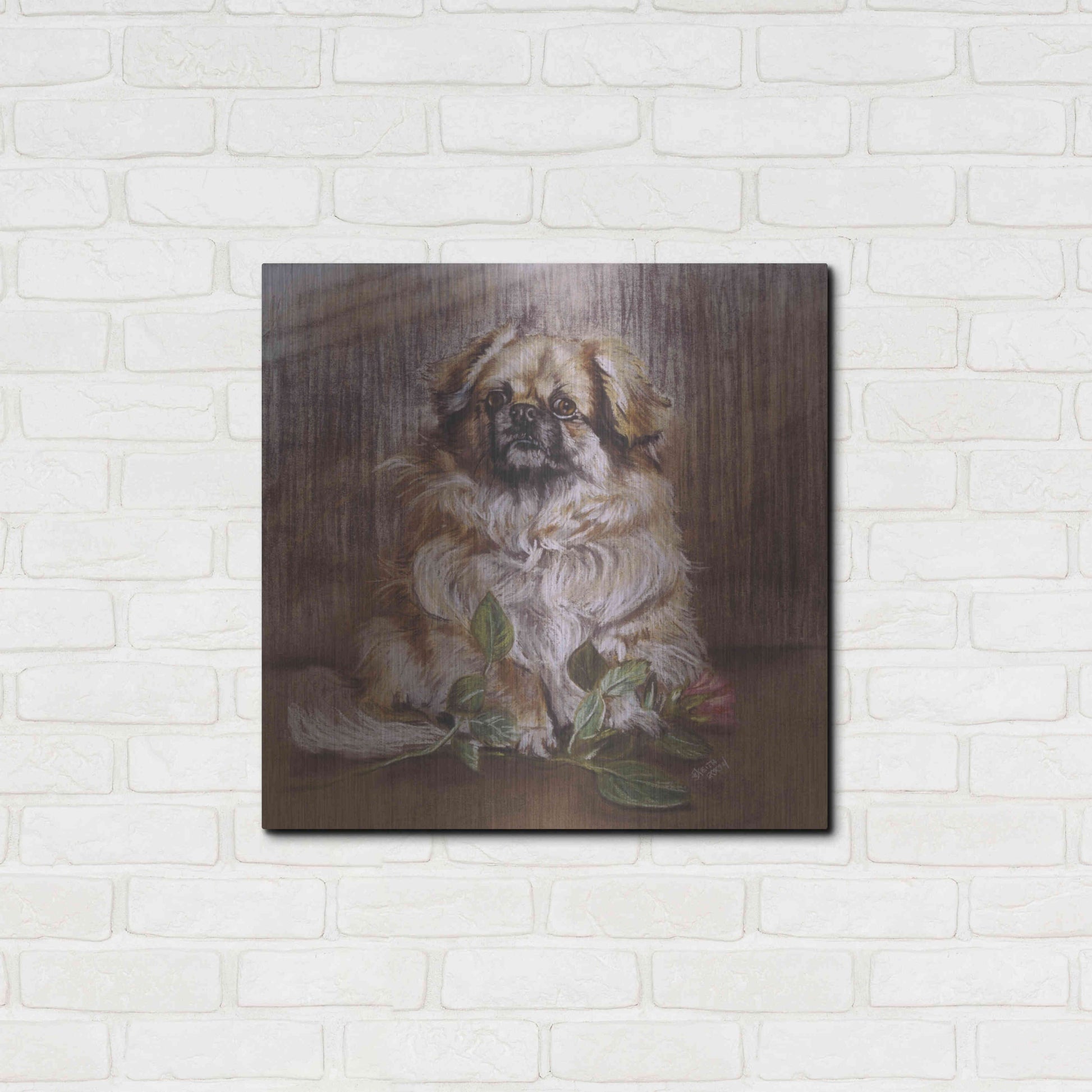 Luxe Metal Art 'Tibetan Spaniel 1' by Barbara Keith, Metal Wall Art,24x24