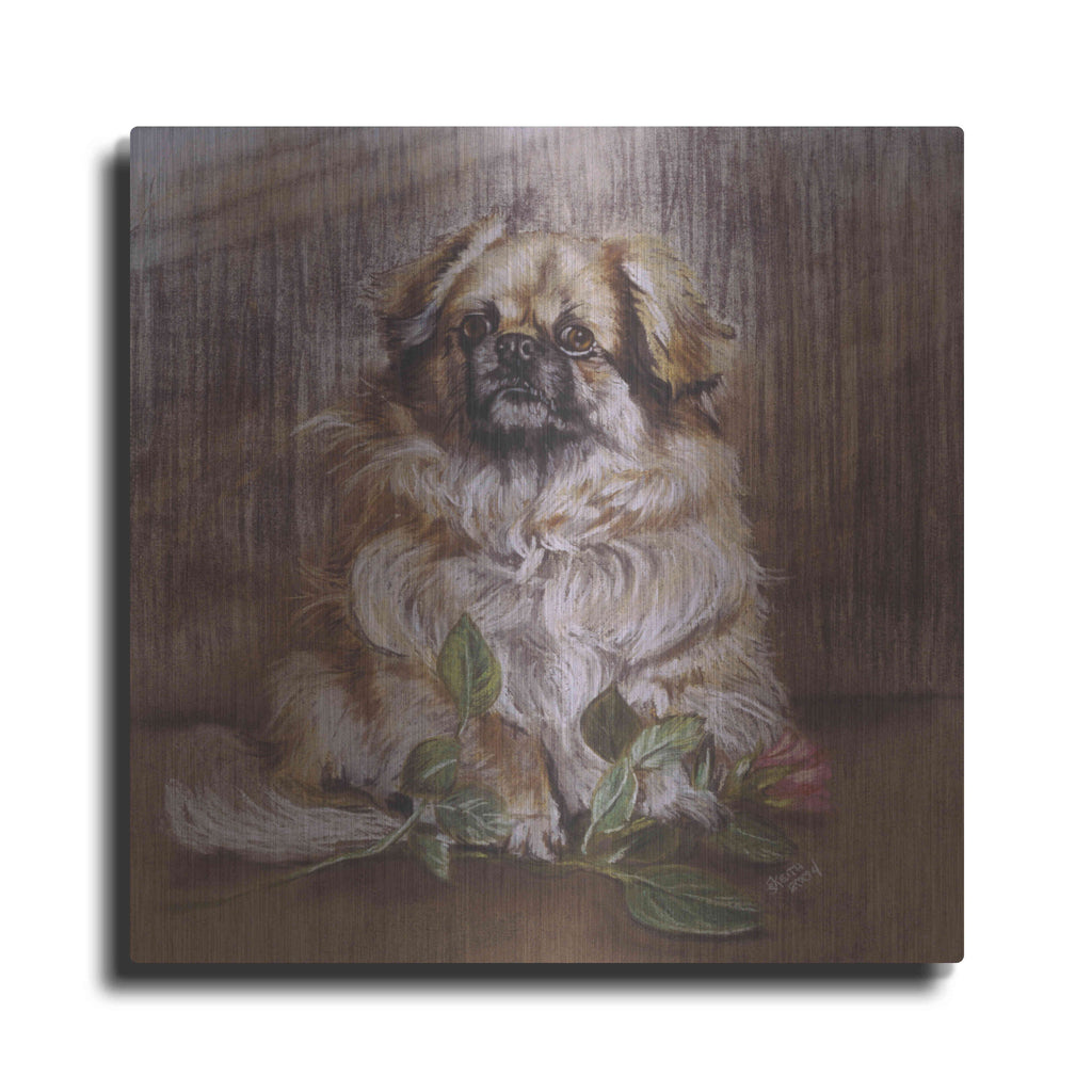 Luxe Metal Art 'Tibetan Spaniel 1' by Barbara Keith, Metal Wall Art