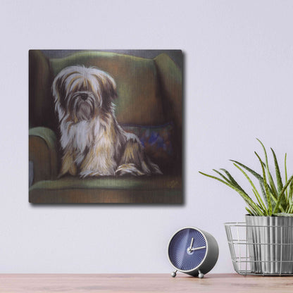 Luxe Metal Art 'Tibetan Terrier' by Barbara Keith, Metal Wall Art,12x12