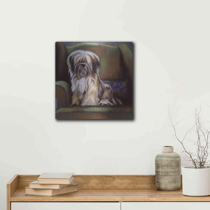 Luxe Metal Art 'Tibetan Terrier' by Barbara Keith, Metal Wall Art,12x12