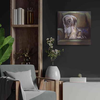 Luxe Metal Art 'Tibetan Terrier' by Barbara Keith, Metal Wall Art,24x24