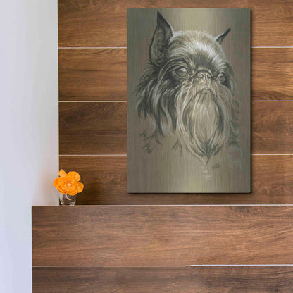 Luxe Metal Art 'Belgian Griffon' by Barbara Keith, Metal Wall Art,12x16