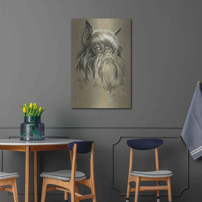 Luxe Metal Art 'Belgian Griffon' by Barbara Keith, Metal Wall Art,24x36
