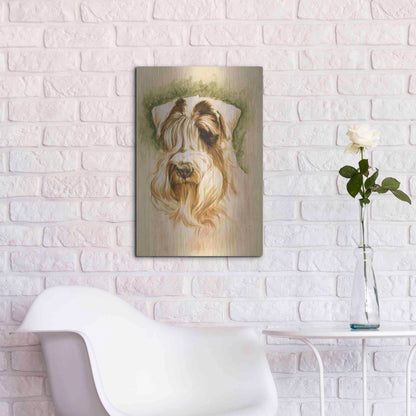 Luxe Metal Art 'Sealyham Terrier' by Barbara Keith, Metal Wall Art,16x24